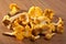 Fresh chanterelle mushrooms