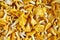 Fresh chanterelle mushrooms background