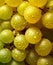 Fresh Chardonnay grapes with drops of water. Generative AI