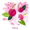 Fresh cherries berry berries fruits juice splash organic food juicy splatter cherry on abstract background
