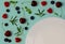 Fresh cherries, blueberries, raspberries, mint and rosemary leaf on top view with white plate and pastel blue color background for