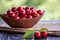 Fresh cherries in bowl on table