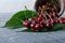 Fresh cherries closeup with green leaves on blue rustic wood