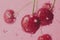 Fresh cherries splashing in water on pink background