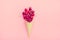 Fresh cherries in waffle cones Ice cream cone filled with fresh sweet cherry on lilac background. Top view. Copy space. Summer