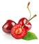 fresh cherry berries with green leaf