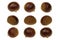 Fresh chestnut isolated 360 Degrees Concept