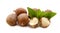 Fresh chestnuts with green leaves, isolated.