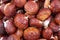 Fresh chestnuts, isolated on white background