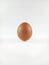 Fresh Chicken Egg on White Background