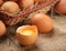 Fresh chicken eggs organic food