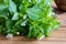 Fresh chickweed plant on a wooden background