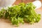 Fresh chickweed plant on a wooden table