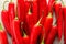 Fresh chili peppers on table, closeup