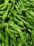 Fresh Chilly Green Pepper Vegetable Organic Plants Vegan Diet Meal Raw Veggies Market