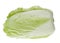 Fresh chinese cabbage