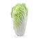 fresh chinese cabbage isolated on a white background Stack image