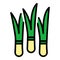 Fresh chives icon color outline vector