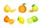 Fresh citrus fruits set. Lemon, citron, lime, clementine, lime, sweet orange cartoon vector illustration