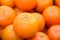 Fresh citrus tankan background