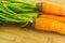Fresh and clean carrots with green tops closeup vegetable set