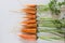 Fresh clean carrots on a white table. Background of fresh vegetables top view. Fresh bunch of carrots on white background.