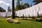 Fresh clean white towels drying on washing line