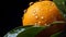 Fresh_Clementine_fruit_with_water_droplets1_1