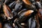 Fresh and closed organic mussel