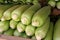 Fresh cobs of corn still in husks at roadside produce stand