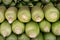 Fresh cobs of corn still in husks at roadside produce stand front view close-up