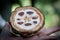 Fresh Cocoa fruit in a hand. Close up. Cut of raw cacao in Sri Lanka plantation