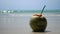 Fresh coconut with chopped top and straw stands on wet sand