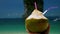 Fresh coconut juice with colored straws