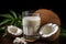 Fresh coconut milk with coconut .Health food, diet concept.