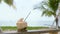 Fresh coconut with paper straw standing on wooden swing with sea and palm trees