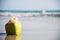 Fresh coconut with plumeria flower decorated on clean sand beach with sea wave background