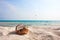 Fresh coconut on sand beach