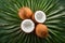 Fresh coconut showcased in captivating professional advertising foodgraphy