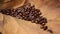 Fresh coffee beans on brown teak leaves