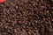 Fresh coffee beans on red background. Dark fresh roast coffee bean on red wood background