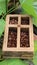 Fresh coffee beans in teak wood boxes, green leaf background