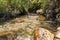 Fresh,  cold, fast, shallow stream En Hardalit flows in the north of Israel, not far from Nahariya city