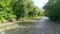 Fresh cold mountain river at sunny summer morning