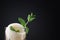 A fresh, cold yellow mojito on a black background. The alcoholic beverage with pieces of melon, crushed ice and