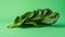 Fresh Collard Greens on Green Background AI Generated