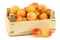 Fresh colorful apricots in a wooden crate