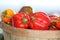 Fresh Colorful Bell Pepper Vegetables in basket at Farmer`s Market in West Tennessee