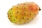 Fresh colorful cactus fruit