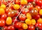 Fresh colorful cherry tomatoes